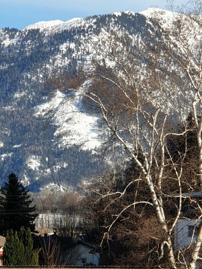 Ferienwohnung Birkenstrasse 7 Bad Reichenhall Exterior foto