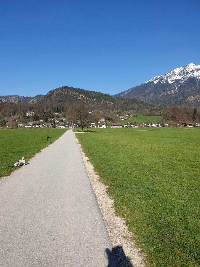 Ferienwohnung Birkenstrasse 7 Bad Reichenhall Exterior foto